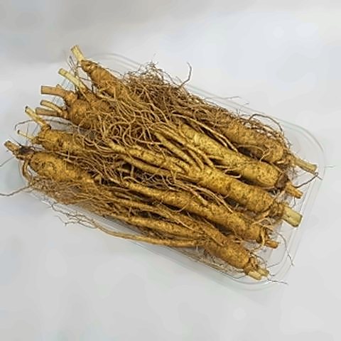 영주 특산물